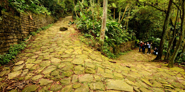 Fundação Florestal