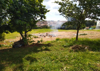 Terreno no Jardim Pinheiros 2 serve para acúmulo de sujeira; perto da sua casa tem problema semelhante?