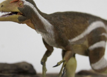 Apresentação da  descoberta de um  novo fóssil de dinossauro: o Aratasaurus museunacionali. Foto: Renato Bantim/Museu Nacional