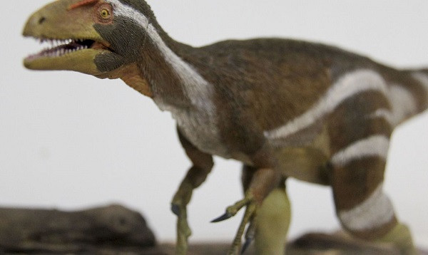 Apresentação da  descoberta de um  novo fóssil de dinossauro: o Aratasaurus museunacionali. Foto: Renato Bantim/Museu Nacional