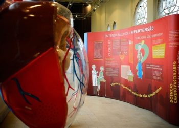 Exposição Vias do Coração no Museu da Vida, no Castelo da Fiocruz,  divulga o conhecimento sobre o coração, para estimular a prevenção das doenças cardiovasculares. Foto: Tomaz Silva/Agência Brasil