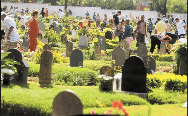 Foto: Divulgação/Floricultura Cemitério