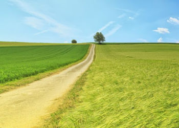 Incra funciona em Franca a partir de parceria com a Prefeitura