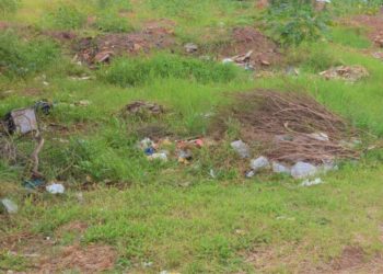 Região Leste em Franca vai ter mutirão de limpeza em terrenos