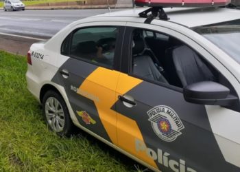 Motorista perde controle de picape e capota em rodovia