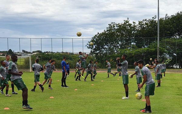 Foto: Divulgação/Francana