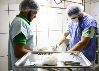 Prefeitura de Franca confirma recursos de convênio para castrar 3,6 mil animais abandonados