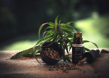 Anvisa autoriza o uso de dois novos produtos à base de cannabis para tratamento de saúde