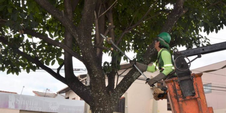 Foto: Divulgação/Prefeitura de Franca