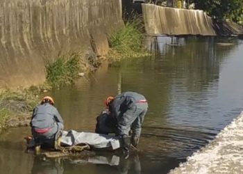 Bombeiros retiram corpo de homem do córrego na avenida Hélio Palermo