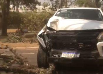 Vídeo: Motorista perde o controle, bate em árvore e interdita avenida Santos Dumont