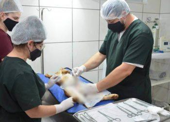 Foto: Prefeitura de Franca