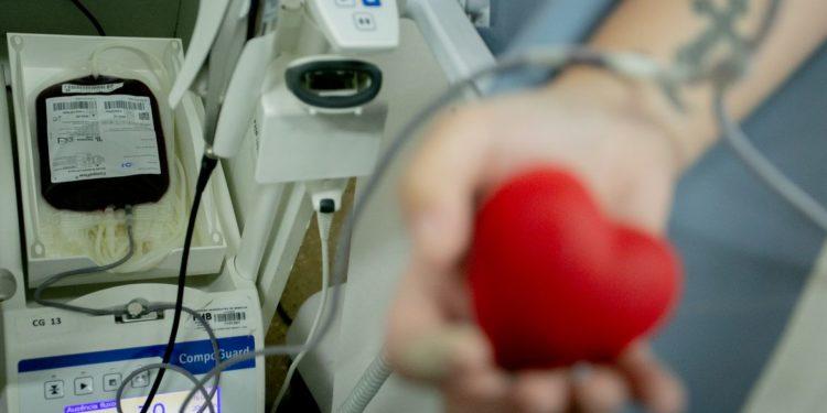 Doação de sangue no Hemocentro de Brasília, DF, 11/06/2021 Foto: Myke Sena/MS