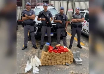 Polícia Militar encontra carregamento de 100 kg de droga no Recanto Elimar