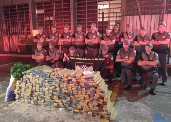 Força Tática localiza entreposto de droga no Paiolzinho e apreende mais de 350 kg de maconha