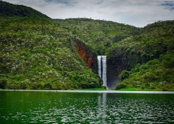 Projeto Nascentes incentiva a preservação da água no Estado de São Paulo