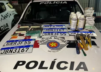 Investigado por roubo de caminhonetes na região é preso no Parque do Horto