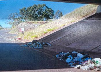 Câmara na rodovia Ronan Rocha vai monitorar descarte de lixo e auxiliar na multa