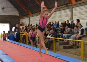 Franca tem festivais de ginástica, judô, taekwondo, handebol, natação e tênis de mesa
