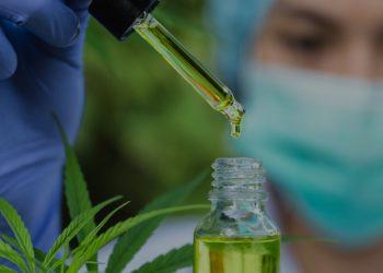 Cannabis medicinal é alternativa para tratamento de náuseas em pacientes oncológicos