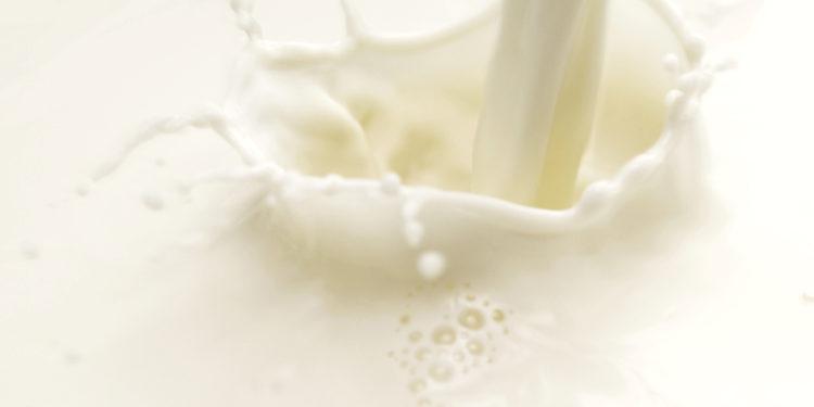 fresh milk splash