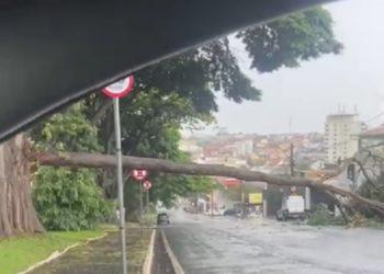 Rajadas de vento de até 50 km/h causam transtorno em Franca; veja vídeo