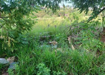 Flagrante: com explosão de casos de dengue, francanos usam bairro Itapuã de ‘lixão’ a céu aberto