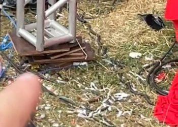 Produção de Simone Mendes fez vídeo de palco da Expoagro escorado em pedaços de madeira