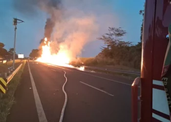 Foto: Divulgação/Bombeiros