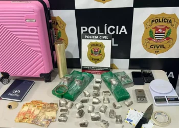 Mulher de 23 anos usava a própria casa no Parque do Horto para armazenar droga