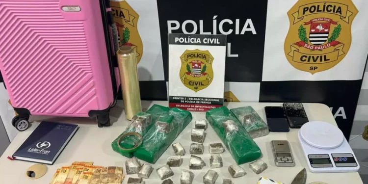 Foto: Divulgação/Polícia Civil