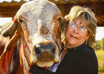 Fazendeira referência na criação de gado Gir Leiteiro recebe homenagem na 53ª Expoagro