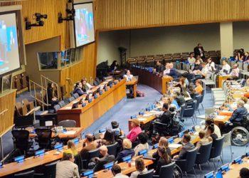 Federação sediada em Franca vai à ONU para discutir direitos da inclusão