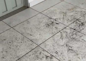 Incêndios e fumaça na região alteram rotina de campanhas e mobiliza candidatos