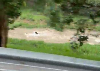 Veja vídeos: Carro é arrastado em córrego e cai na cachoeira da avenida Ismael Alonso y Alonso