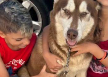 Família recebe ajuda de pessoas e fica em mata na madrugada para resgatar integrante familiar perdido