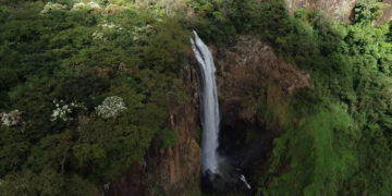 Turismo de natureza em SP: veja opções de cachoeiras, tem destino perto de Franca