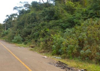 Convênio com a Defesa Civil vai viabilizar construção de muro para combater enchentes no Brasilândia