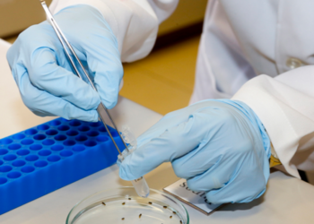 Vacina produzida pela USP contra o vírus zika mostra resultados promissores