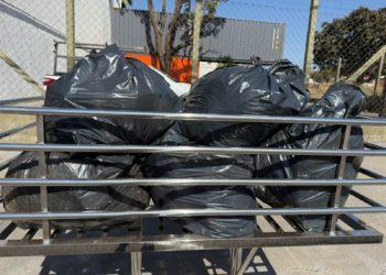 Empresa com o maior contrato da Prefeitura é alvo de reclamações por falhas na coleta de lixo em Franca.