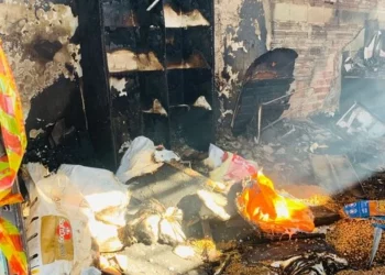 Francana faz vaquinha para reconstruir pet shop destruído por incêndio