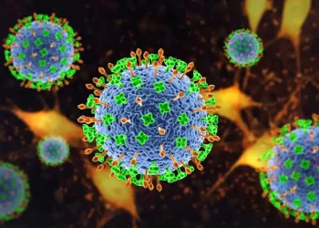 Surto do vírus Nipah na Índia coloca autoridades de saúde em alerta mundial.