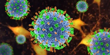 Surto do vírus Nipah na Índia coloca autoridades de saúde em alerta mundial.