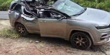 Bebê de 1 ano morre após árvore cair sobre carro na rodovia em Capetinga (MG)