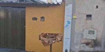 Bebê encontrada viva em lixeira em Guariba: polícia identifica mãe adolescente de 16 anos