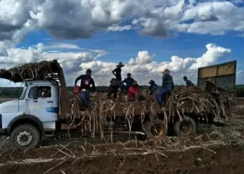 Trabalhadores são resgatados de condições análogas à escravidão em fazenda de cana em Batatais