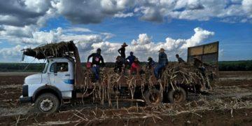 Trabalhadores são resgatados de condições análogas à escravidão em fazenda de cana em Batatais