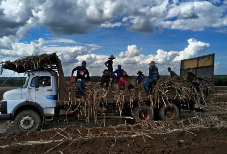 Trabalhadores são resgatados de condições análogas à escravidão em fazenda de cana em Batatais