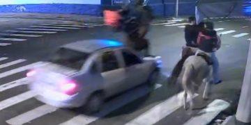 Cavalo é atingido por carro em Franca; cavaleiro é arremessado sobre capô e escapa sem ferimentos