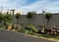 “Prefeito inimigo do meio ambiente? Cortes de árvores geram críticas e moradores cobram explicações em Franca”